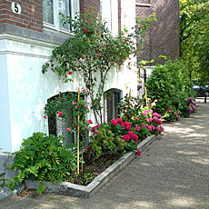 pavement garden in amsterdam