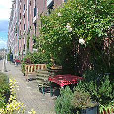 pavement garden in amsterdam