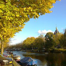 autumn colours in amsterdam