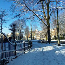 snow in winter in amsterdam