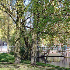 bridge near hortus botanicus in amsterdam