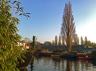 Poplar plumes Entrepotdok 