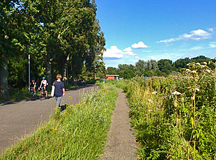 along the Amstel river near Amstel Park in Amsterdam South