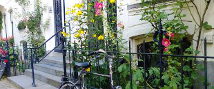 Flowery Pavement Garden  in Amsterdam