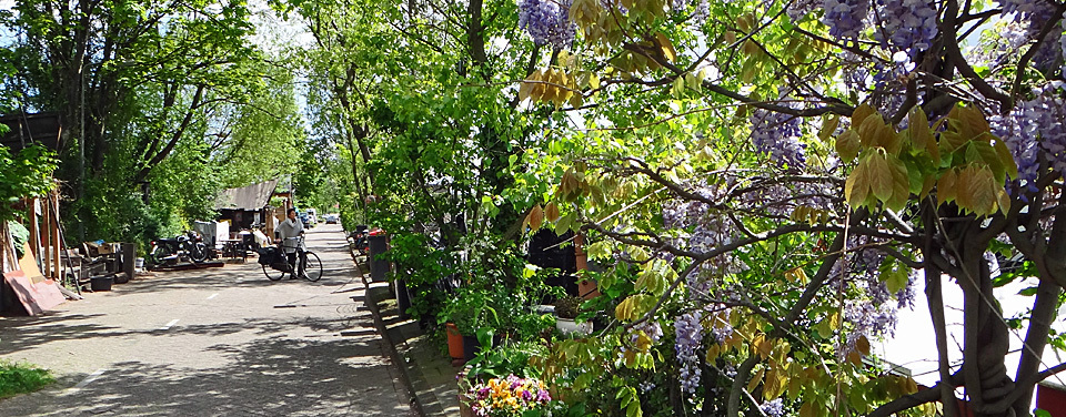 the Dijksgracht with its houseboats, trees, greenery