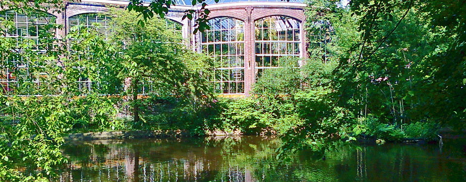 Hortus Botanicus Amsterdam viewed from the Trees of Amsterdam route